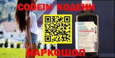 мдпв Кингисепп