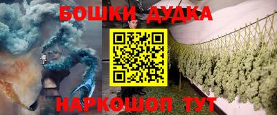 мдпв Кингисепп