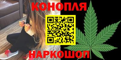 мдпв Кингисепп