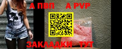 мдпв Кингисепп