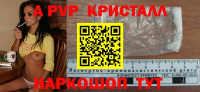 мдпв Кингисепп