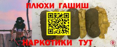 мдпв Кингисепп