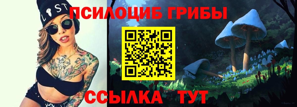 Галлюциногенные грибы Psilocybe Усть-Илимск